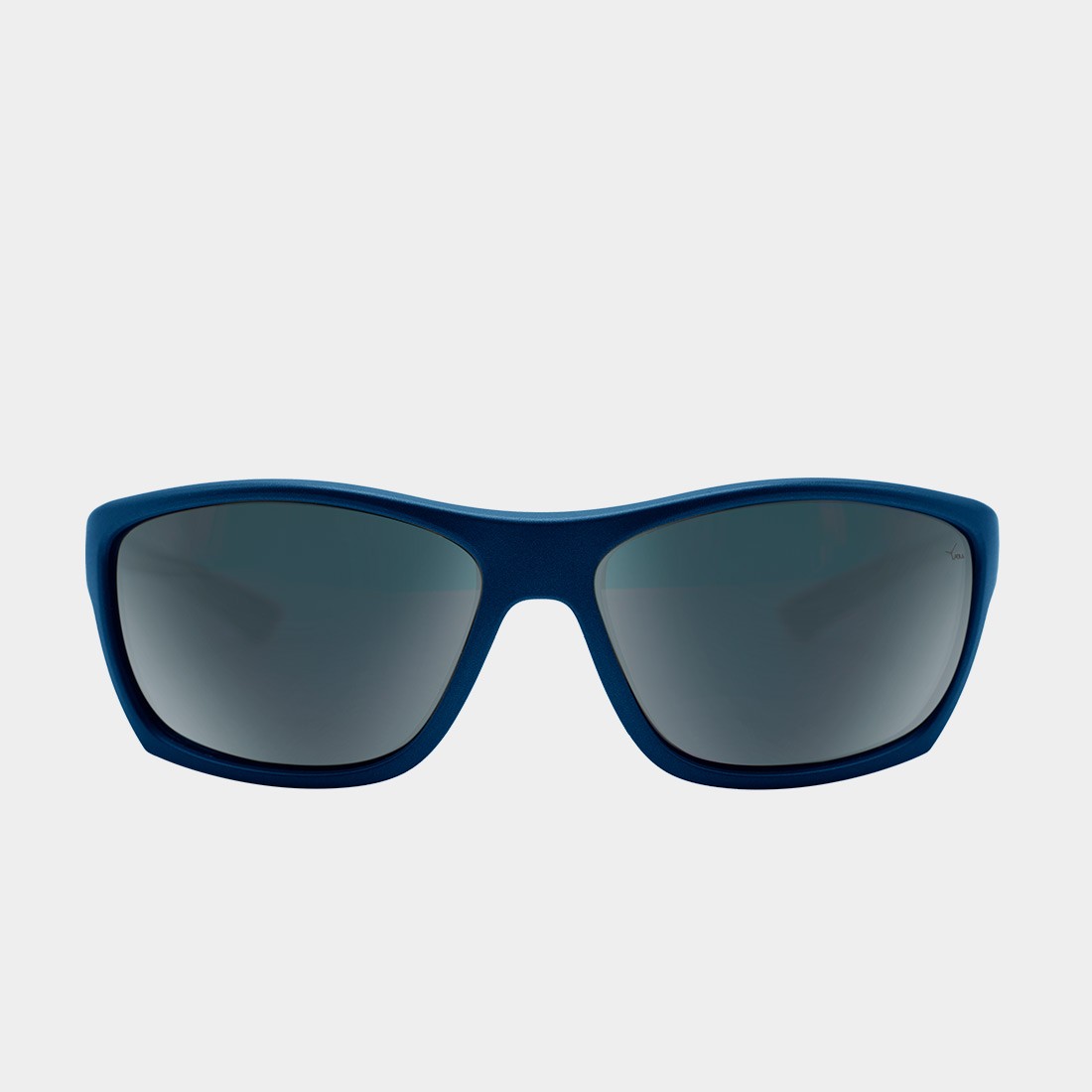 SAILVIEW - Sunglasses for nautical activities